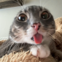 sourpatchcherry avatar