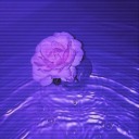 sourwormsaresour avatar