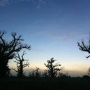 sousoucissoko-blog avatar