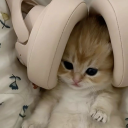 sousousousoup avatar