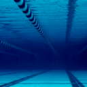 south-by-south-east avatar