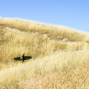 southbayporvida-blog-blog avatar