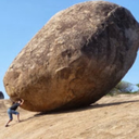 southcentrala-saveoursouls avatar