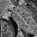 southern-continent-skies avatar