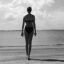 southern-halcyon-blog avatar