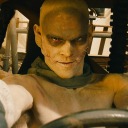 southern-moth avatar