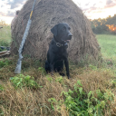 southerngentleman80 avatar