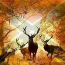 southernpride81 avatar