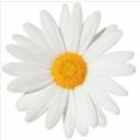 southernstateofmind avatar