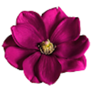 southofthemoon avatar