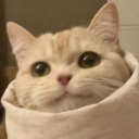 southparkcraigandtweek avatar