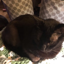 southrengirlrose94 avatar