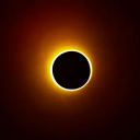 southstardrabbles avatar