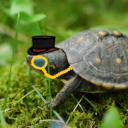 sovereignofsoup avatar