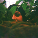 sovereigntyflight avatar