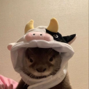 soybean-bitch avatar