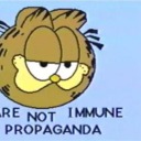 soyboysocialist avatar