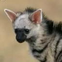 soychronicprocrastinator avatar