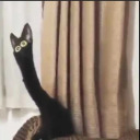 soysauce-sage avatar