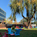 sozlerunutulmus avatar