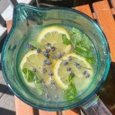 sp1lled-lemon4de avatar