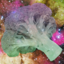 space-broccoli avatar