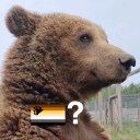 space-for-brains avatar