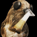 space-lizarrd avatar