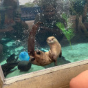 space-mushroom avatar