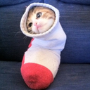 space-ovaries avatar