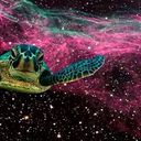 space-turtle avatar