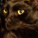 space-zodiac-ram avatar