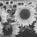 spaceace21-blog avatar