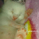 spaceagerabbit avatar