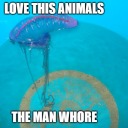 spaceballonsyeah avatar