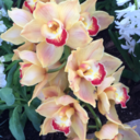 spaceboysbrainspace avatar