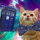 spacecatbowtie avatar