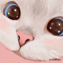 spacecatsonthemoon avatar