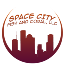 spacecityfish-blog avatar