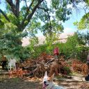 spacecowsrule avatar