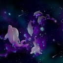 spacedolphinsanddandelions avatar