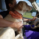 spacedoutpets avatar