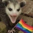 spacedsquirrels avatar