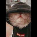 spacefinitesblog avatar