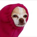 spaceflower-cadet avatar