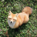 spacefucksmeup avatar