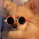 spaceheelies avatar