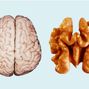 spaceisonlynoiseifyoucansee avatar