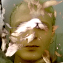 spacemansp1ff-blog-blog avatar