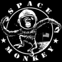 spacemonkeythe avatar